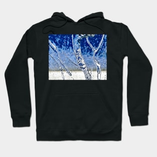 Transurfing Reality Forrest Hoodie